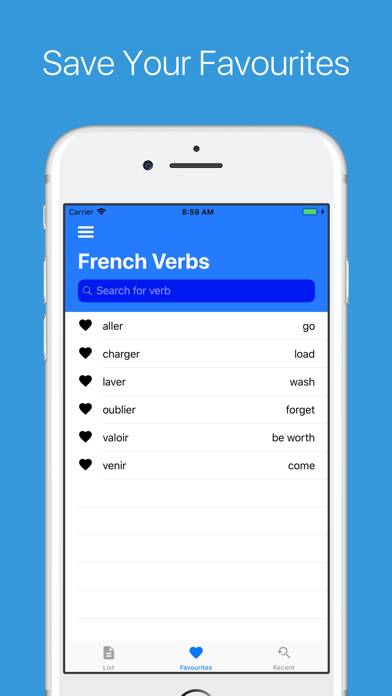 French Verb Conjugator Pro App screenshot #5
