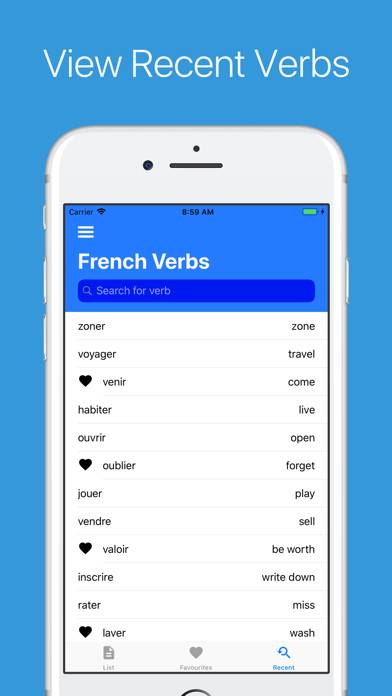 French Verb Conjugator Pro App screenshot #6