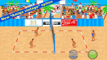Over The Net Beach Volleyball Uygulama ekran görüntüsü #2