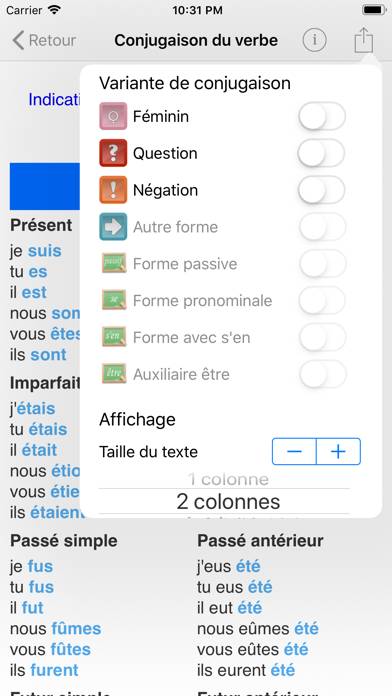 Le Conjugueur App screenshot #6