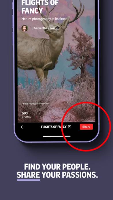 Flipboard: The Social Magazine App skärmdump #5