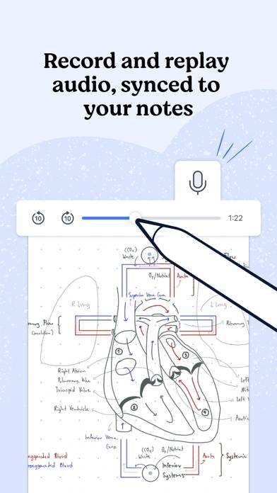 Notability: Notes, PDF Captura de pantalla de la aplicación