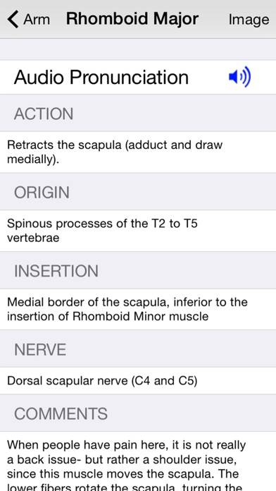 Learn Muscles: Anatomy Captura de pantalla de la aplicación #5