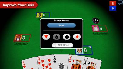 Euchre 3D App screenshot #3