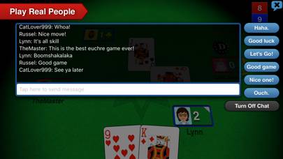 Euchre 3D game screenshot