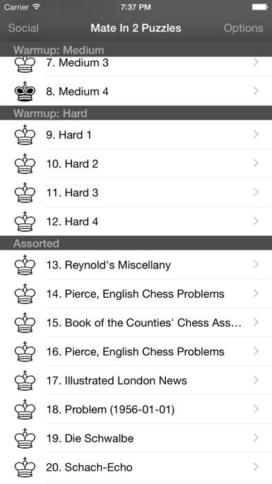 Mate in 2 Chess Puzzles Bildschirmfoto