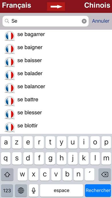 Dictionnaire Chinois-Français Schermata dell'app #4