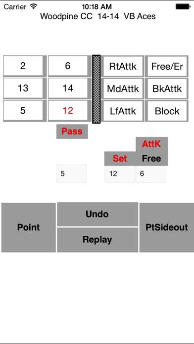 Volleyball Ace Stats App screenshot