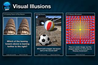 BlueBrain captura de pantalla