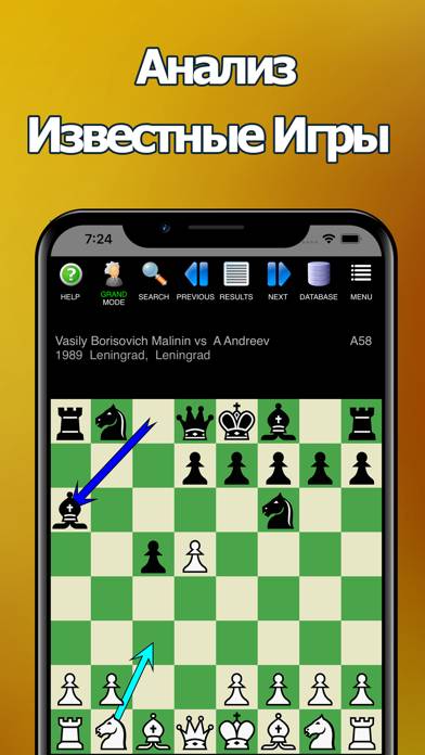 Шахматы: Учись, Играй & Тренер скриншот игры