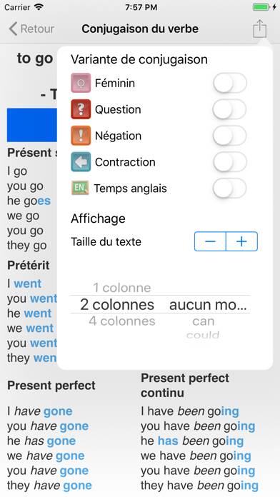 The Conjugator App screenshot #3