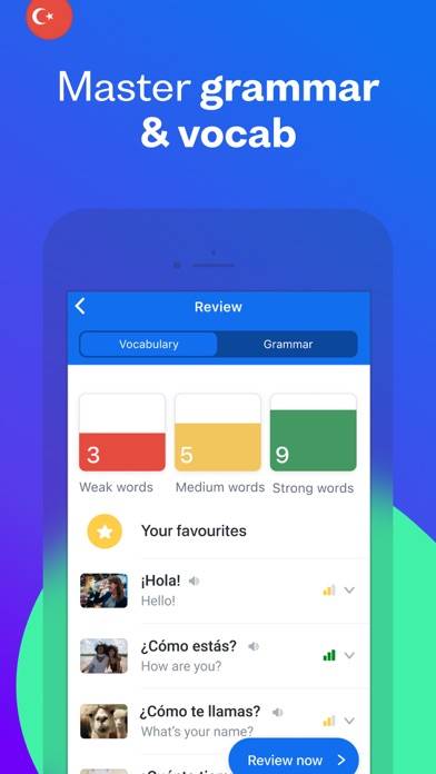 Busuu: Language Learning App-Screenshot #4