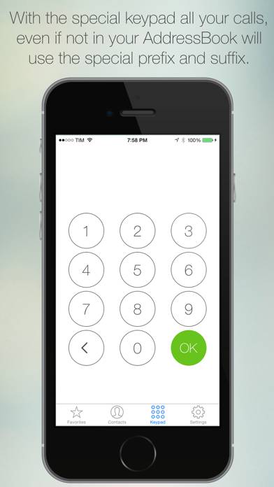 Bizphone PRO App screenshot