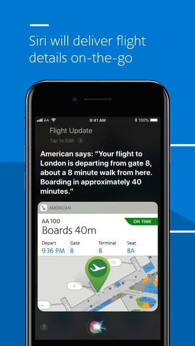 American Airlines screenshot #3