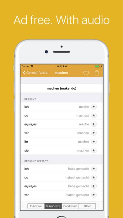 German Verb Conjugator Pro Captura de pantalla de la aplicación #1