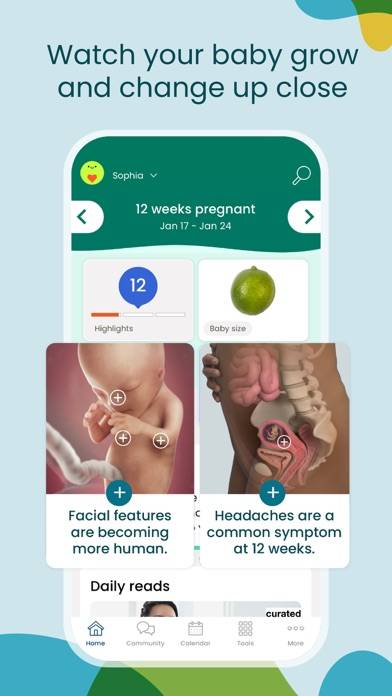 BabyCenter Track Pregnancy App