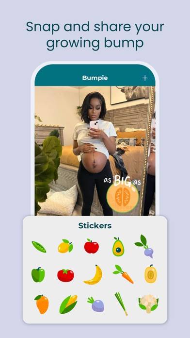BabyCenter Track Pregnancy App App screenshot