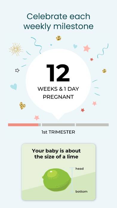 BabyCenter Track Pregnancy App App screenshot
