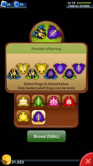 Pocket Frogs: Tiny Pond Keeper Captura de pantalla de la aplicación #5