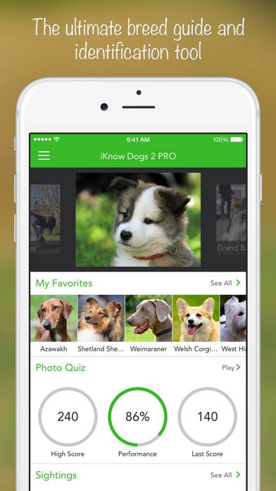 IKnow Dogs 2 PRO Captura de pantalla de la aplicación #1