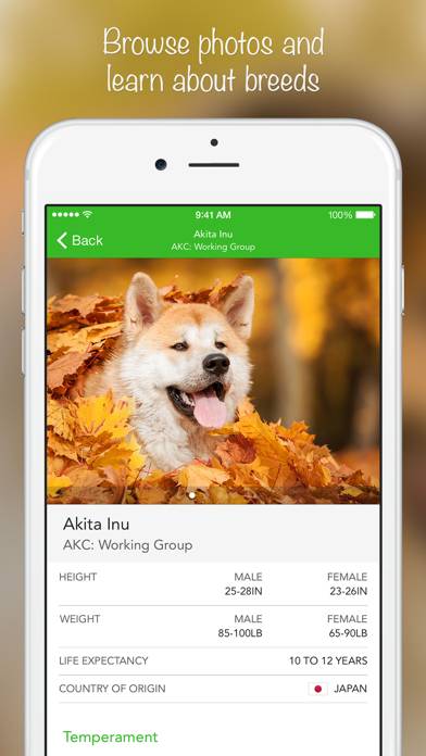 IKnow Dogs 2 PRO Captura de pantalla de la aplicación #3