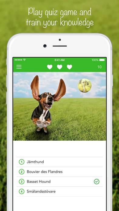 IKnow Dogs 2 PRO Captura de pantalla de la aplicación #4