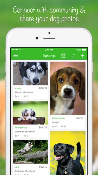 IKnow Dogs 2 PRO Captura de pantalla de la aplicación #5