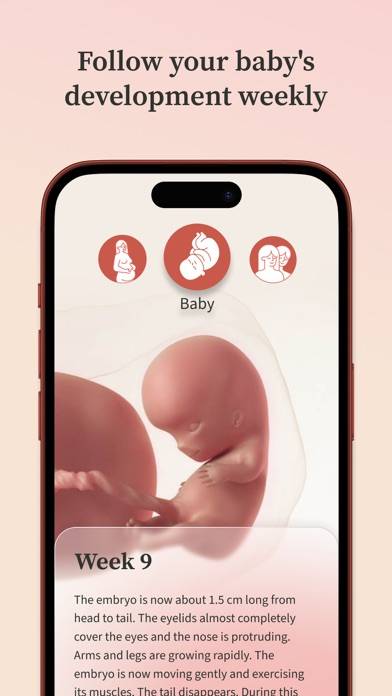 Pregnancy Tracker | Preglife App skärmdump #3