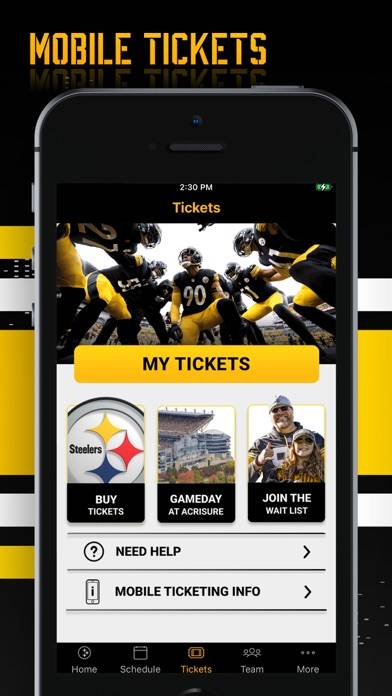 Pittsburgh Steelers App screenshot