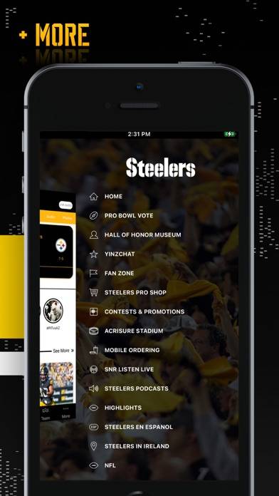 Pittsburgh Steelers App screenshot