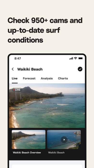 Surfline: Wave & Surf Reports Capture d'écran de l'application #3