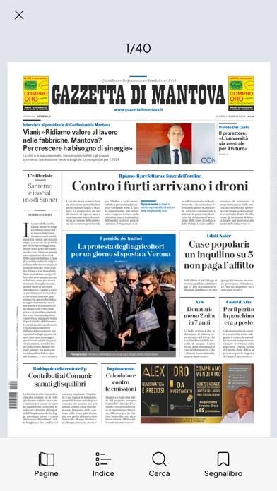La Gazzetta di Mantova App screenshot #2