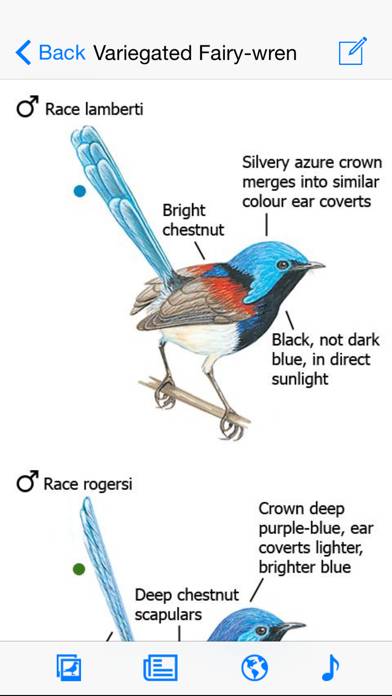 Morcombe & Stewart Guide screenshot