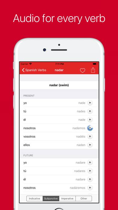 Spanish Verb Conjugator Pro Captura de pantalla de la aplicación #2