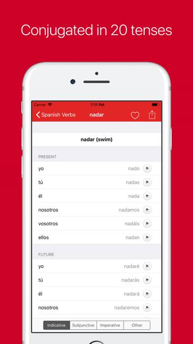 Spanish Verb Conjugator Pro Captura de pantalla de la aplicación #3