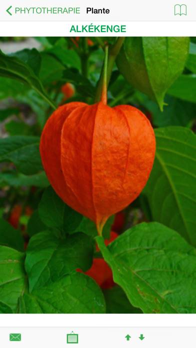 Phytothérapie Capture d'écran de l'application