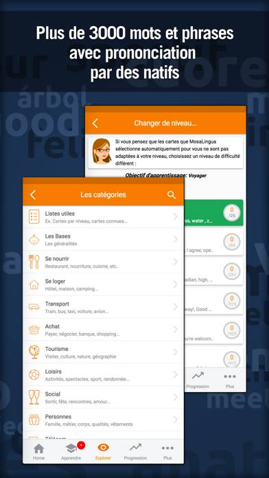 MosaLingua : cours de langues Capture d'écran de l'application #4