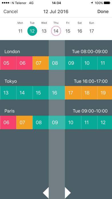 Meeting Planner by timeanddate Captura de pantalla de la aplicación #2