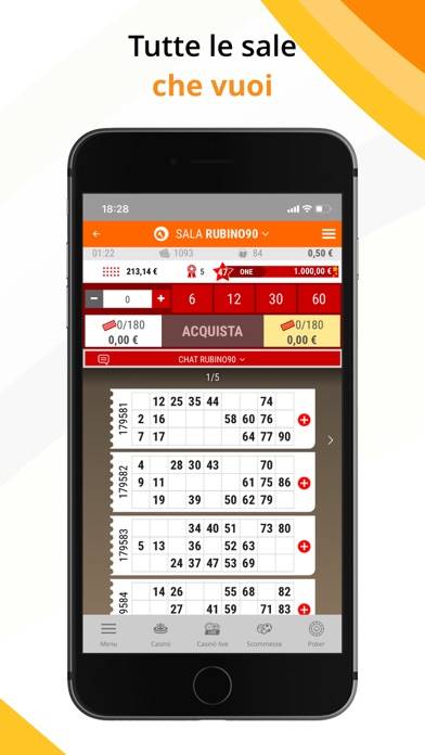 Bingo Gioco Digitale Schermata dell'app #2