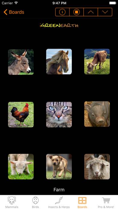 Animal Chatter Pro Capture d'écran de l'application #5