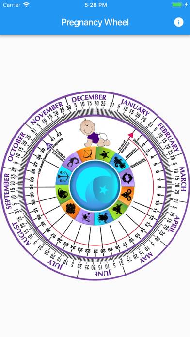 Pregnancy Wheel HD screenshot