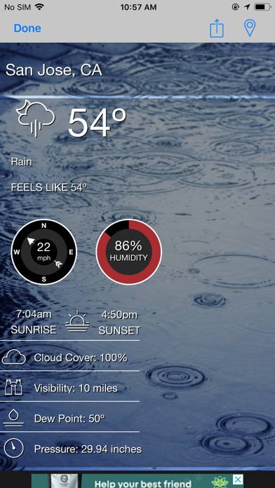News 9 App screenshot
