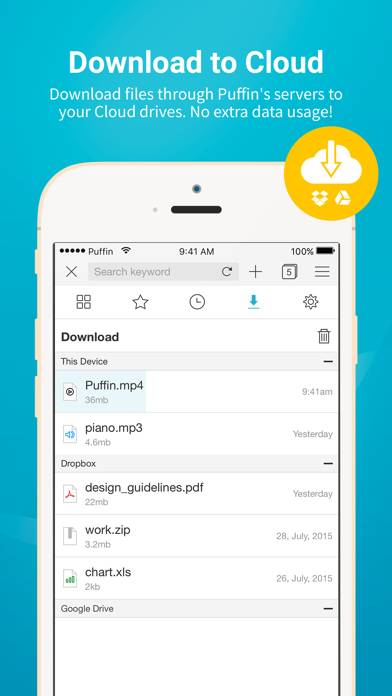 Puffin Browser Pro App-Screenshot #4