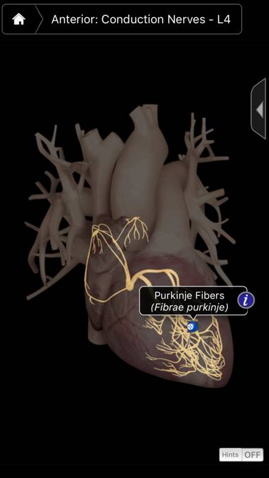 Heart Pro III Captura de pantalla de la aplicación #4