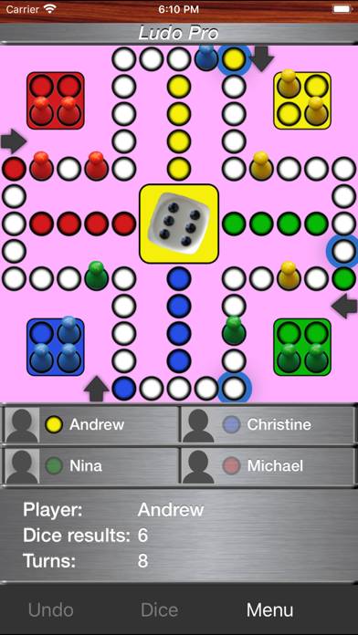 Ludo Pro game screenshot