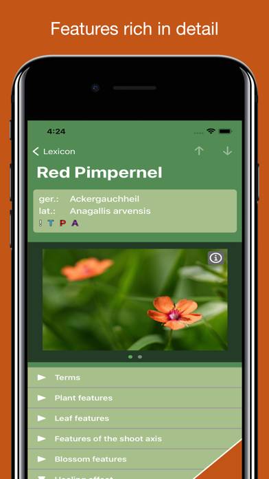 Medicinal Herbs Lexicon Schermata dell'app #5