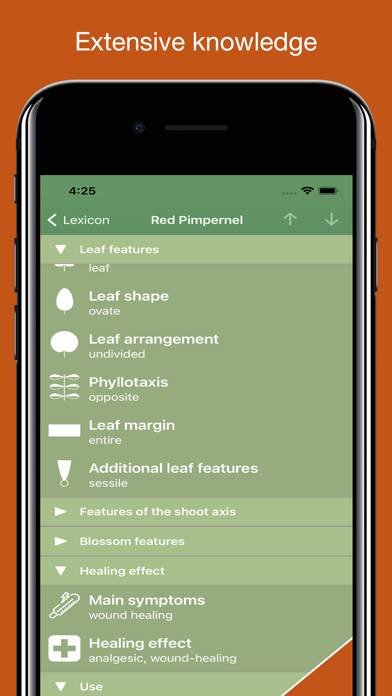 Medicinal Herbs Lexicon App screenshot #6