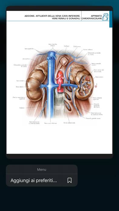 Atlante di Anatomia App screenshot