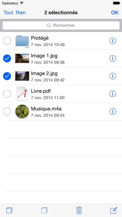 USB Disk Pro for iPhone Capture d'écran de l'application #4