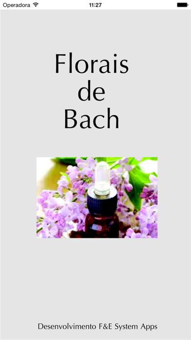 Florais de Bach